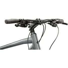 KROSS Evado 5.0 28 Zoll RH 58 cm Herren grau