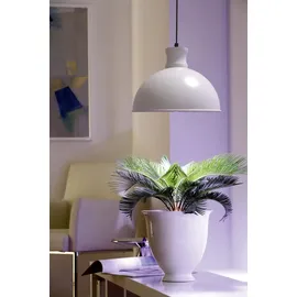 Bio Green Florabooster 500 Pflanzenleuchte