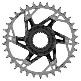 Sram XX T-Type Eagle Bosch 36T silber -