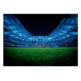 HSV Fahne HSV Wandfahne "Stadion"