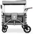 Luxus Bollerwagen FX-CTXL900 Grau