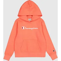CHAMPION Kinder Kapuzensweat Hooded, DBR, L