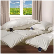 billerbeck Nena Kassette VI 155 x 220 cm