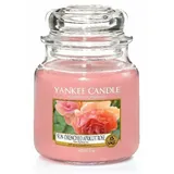 Yankee Candle Sun-Drenched Apricot Rose mittelgroße Kerze 411 g