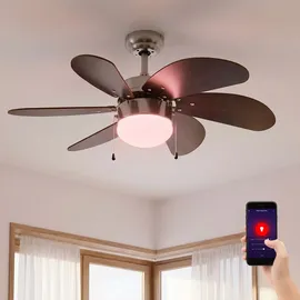ETC Shop Smart LED Deckenventilator dimmbar Zugschalter Ventilator Vor und Rücklauf Deckenlampe, RGB Farbwechsel, Sprach-/App Steuerung Holz dunkelbraun, Titan, 5W 470lm warmweiß-kaltweiß, DxH 75x36 cm