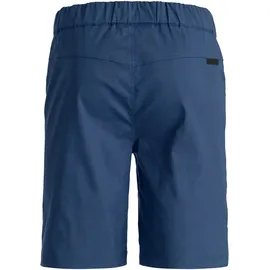 Ortovox Herren Affinity Shorts (Größe M, blau)