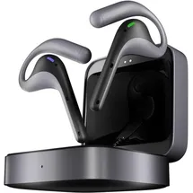 TIMEKETTLE W4 Pro Translator