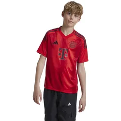 Adidas FC Bayern München 24/25 Kids Heimtrikot, Gr. 128