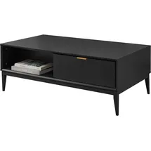LEONIQUE Lavisha Schwarz Holz 110 x 41 x 60 cm