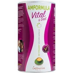 AMFORMULA Vital & Diet Cappuccino 490g Ds. EINHEITSFARBE 490g