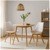 HTI-Living Esszimmerstuhl 2er Set Design-Stühle mit Sitzpolster (Set, 2 St), Esszimmerstuhl Kunststoffschale Samtbezug Holzfüße weiß