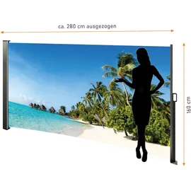 Westerholt Seitenmarkise 160 x 280 cm Mehrfarbig Stahl