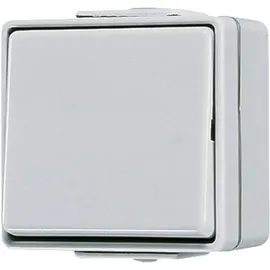 Jung Wippschalter Kreuz 607 W