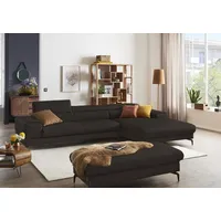 Ecksofa W.SCHILLIG "piedroo, Designsofa mit tollem Sitzkomfort, bequem und elegant, L-Form", braun (braun z59), B:343cm H:70cm T:193cm, Longlife Xtra-Leder Z59: Glattleder mit modischer Prägung. Hautstärke 0, 9 - 1, 1 mm, Sofas, Kopfteilverstellung, wahlweise mit Sitztiefenverstellung, Breite 343cm