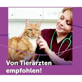 Ceva Feliway Classic Nachfüllflakon Vorteilspack