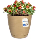 KADAX Blumentopf mit Untersetzer, aus Kunststoff, rund, 13 cm, Caffe Latte