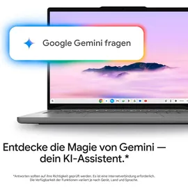 Asus Chromebook Plus CX14 Intel Core 3 N355 8 GB RAM 128 GB eMMC Rock Grey CX1405CTA