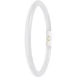 LEDVANCE Osram 4099854300820 LEDT5 FC22 EXT p 11.6W 840 2GX13 LED-Tube