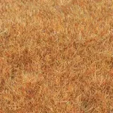 Heki 33545 Grasfaser Wildgras Spätherbst, 75 g,