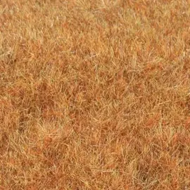 Heki 33545 Grasfaser Wildgras Spätherbst, 75 g,