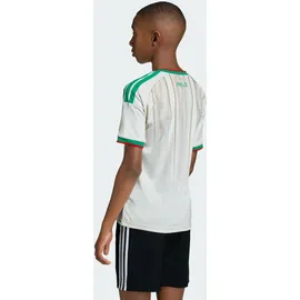 adidas Algerien Heimtrikot 2026 Kinder Gr. 176