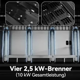 Royal Gourmet 4-Brenner Gasgrill 10 kW grau