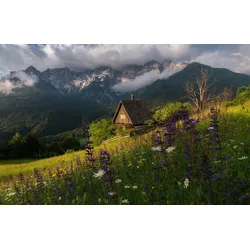Fototapete PAPERMOON "Photo-Art ALES KRIVEC, AUF DEN WIESEN", bunt, B:4,00m L:2,60m, Vlies, Tapeten