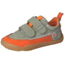 qnuffs Erle grau / orange 31