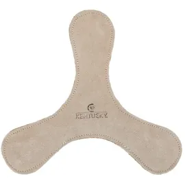 Kentucky - Hundespielzeug Pastell Bumerang smaragd