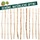 Voss.garden Staketenzaun 60cm, Gartenzaun aus Haselnuss Rollzaun Teichzaun