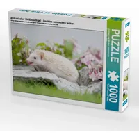 Calvendo Afrikanischer Weißbauchigel - Insekten schmecken lecker Puzzle