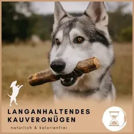 Supravit Olivenholz Hundespielzeug L braun