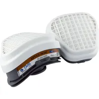 GVS Ersatzfilter Elipse A2-P3 RD