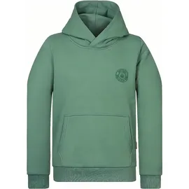 Naketano Hoodie Theo's Lieblingspulli Grün XL