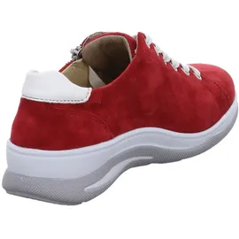 Fidelio Haley rot 40.5