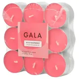 Gala Flavour 2 cm wild raspberry 18 St.