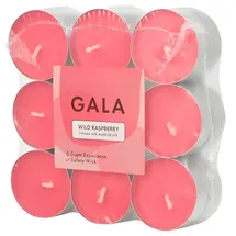 Gala Flavour 2 cm wild raspberry 18 St.