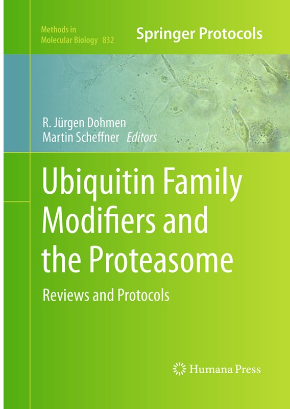 Ubiquitin Family Modifiers And The Proteasome, Kartoniert (TB)