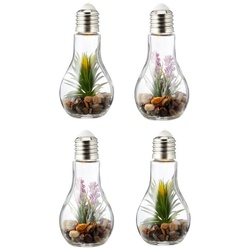 Levandeo® LED Dekoobjekt, 4er Set Sukkulenten Glühbirne Glas je B x H 8 x 19cm Deko LED Lampe