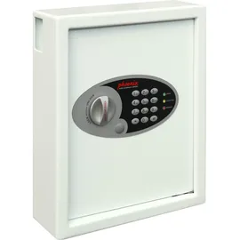 Phoenix Cygnus Key KS0032E