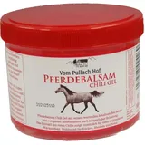 Axisis Pferdebalsam Chili Gel