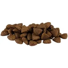 CARNILOVE Adult Salmon 1,5 kg