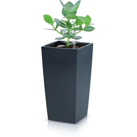 Prosperplast Blumentopf 40 x 40 x 75 cm schwarz