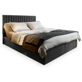 masseno Murlo 160 x 200 cm H2 Grau