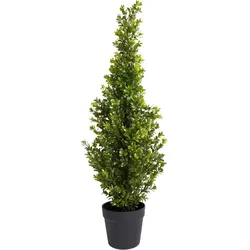 Künstliche Zimmerpflanze BOTANIC-HAUS "Buchsbaum im Topf", grün, B:29cm H:90cm T:29cm Ø:29cm, Kunststoff, Kunstpflanzen, Künstliche Zimmerpflanze