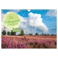 Calvendo Die Farbenpracht der Lüneburger Heide (Wandkalender 2026 DIN