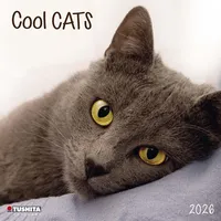 Tushita paperart Cool Cats 2026