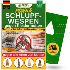green guardia Schlupfwespen gegen Kleidermotten Mottenfalle 12 Karten