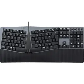 Perixx PERIBOARD-535 Low-Profile Blue Clicky DE