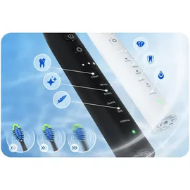 Berdsen Galaxy Duo Schallzahnbürsten-Set + 2. Handstück